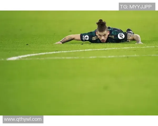 F1：红牛RB17限量版亮相